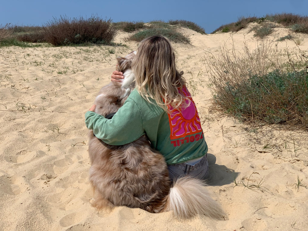 Sweat-shirt * SOLEIL * ☀️